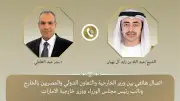 وزير الخارجية المصري يتشاور مع نظيره الإماراتي حول التطورات الإقليمية والأزمات المشتركة