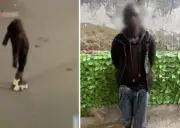 أمن الجيزة يكشف حقيقة فيديو الرقص غير المتزن لشخص أجنبي في الشارع