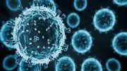 تحذيرات من متحور إنفلونزا D الخطير: هل يتحول إلى جائحة عالمية جديدة؟