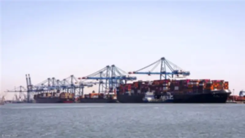 ميناء دمياط يسجل نشاطاً لافتاً باستقبال 10 آلاف طن قمح وتداول 74 ألف طن بضائع خلال يوم واحد