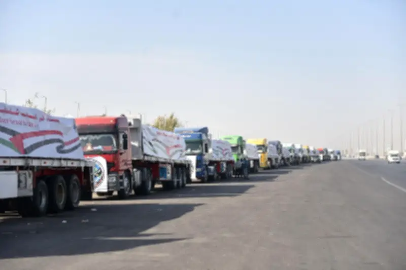 مصر تطلق القافلة رقم 16 للمساعدات العاجلة لغزة عبر 5 طائرات و277 شاحنة