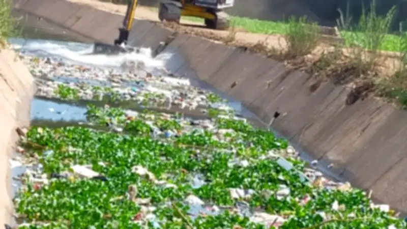 المنوفية: ترخيص 161 مشروع زراعي وتطهير 455 كم من المساقي خلال شهرين