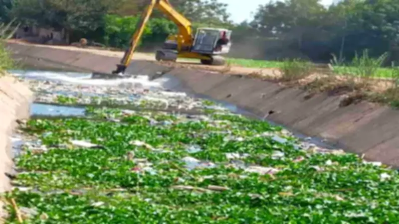 الموافقة على ترخيص 161 مشروعاً زراعياً في المنوفية ضمن خطة متكاملة للتطوير