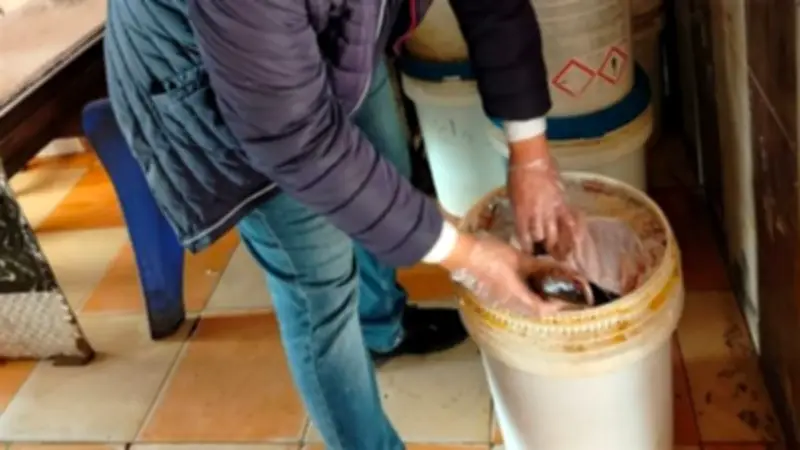 الطب البيطري بالشرقية يضبط 2 طن لحوم فاسدة ويحرر 29 مخالفة في حملات تفتيشية موسعة