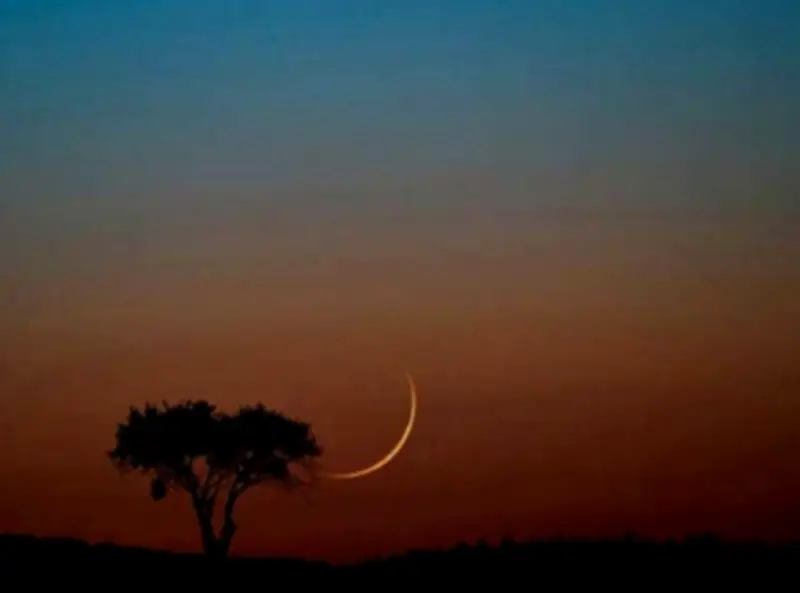 قطر تعلن الجمعة 20 مارس 2026 أول أيام عيد الفطر 1447 هجرية