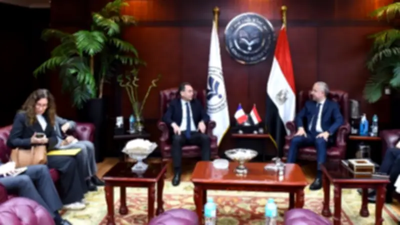 هيئة الاستثمار: 200 شركة فرنسية في مصر باستثمارات 8 مليارات دولار