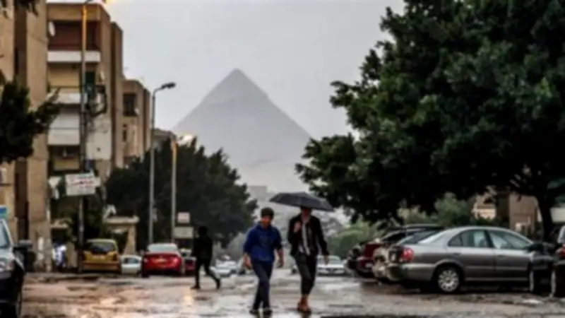 العد التنازلي لانتهاء الشتاء في مصر 2026.. الاعتدال الربيعي يبدأ 20 مارس