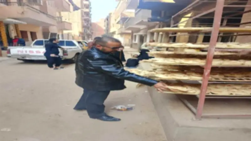 تموين المنيا: 206 مخالفات وضبط 200 كيلو فراخ فاسدة في حملات رقابية موسعة