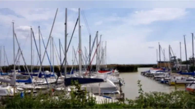 ارتفاع معدل التضخم في النمسا إلى 2.3% على أساس سنوي في فبراير 2026