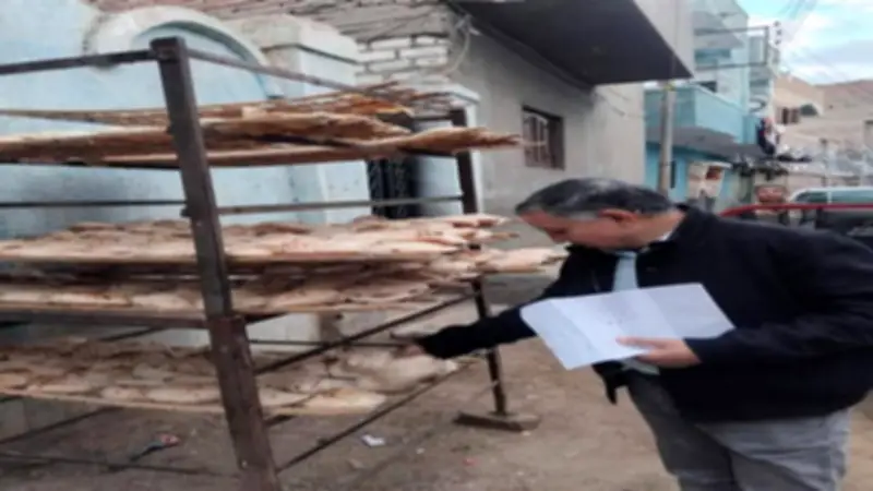 المنيا: تحرير 239 مخالفة تموينية وضبط 1.5 طن سماد مدعم قبل تهريبه في حملات رقابية مكثفة