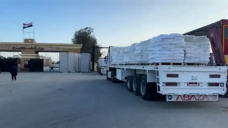 الهلال الأحمر المصري يدفع بأكثر من 2865 طنًا من المساعدات الإنسانية لغزة في قافلة "زاد العزة"