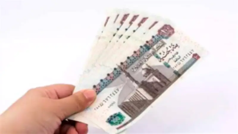 وزارة العمل تبدأ صرف منحة عيد الفطر للعمالة غير المنتظمة بقيمة 344 مليون جنيه