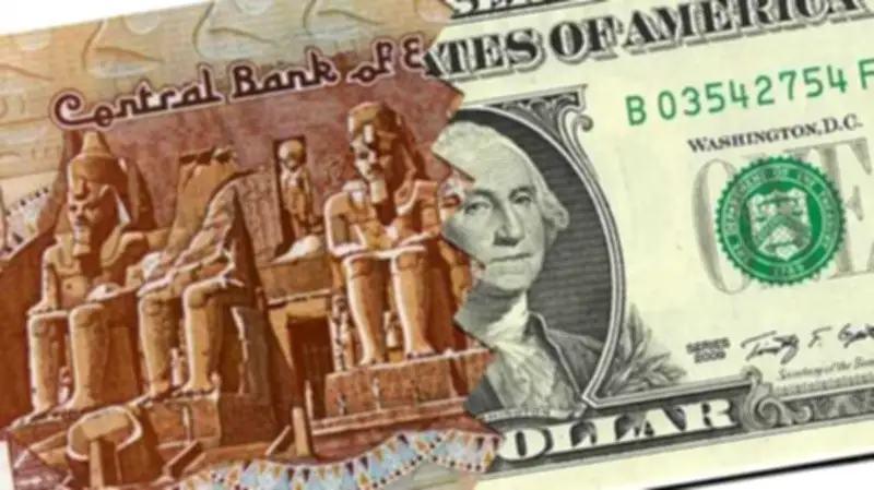 الدولار يتجاوز 50 جنيهاً في البنوك لأول مرة منذ 8 أشهر وسط استقرار حذر