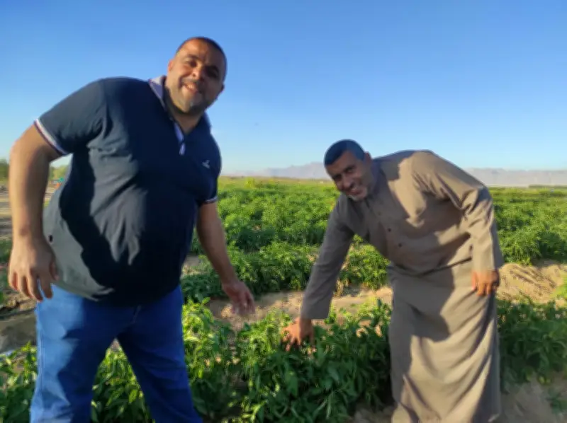 جيش الاحتلال الإسرائيلي يعلن اعتراض أكثر من 50 مسيرة أطلقت من إيران في تصعيد عسكري خطير