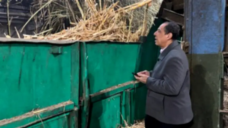 التموين تستهدف توريد 6 ملايين طن قصب لإنتاج 675 ألف طن سكر في موسم 2026