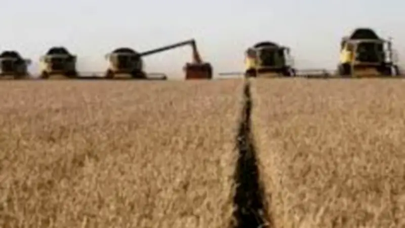 ضبط 60 طن قمح مخلوط وإغلاق 47 محل تمويني في حملات مكبرة بالبحيرة