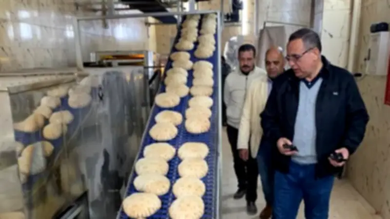 ضبط 66 طن خامات مجهولة المصدر و306 مخالفة تموينية في حملات الدقهلية