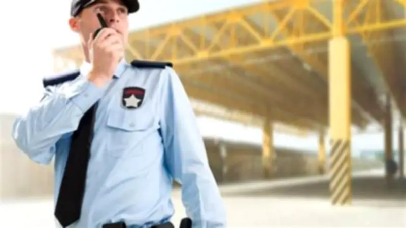 وزارة العمل تعلن عن 747 فرصة عمل جديدة في الأمن والحراسة برواتب تصل إلى 20 ألف جنيه