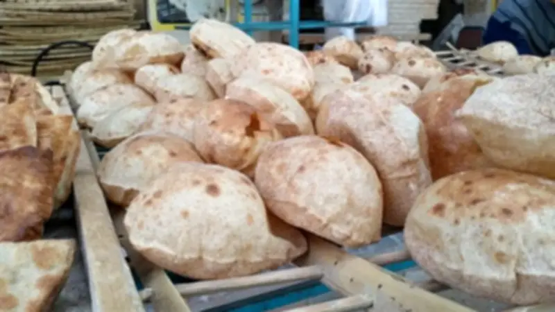 الأقصر توزع 75 مليون رغيف خبز مدعم وتكثف الحملات الرقابية في فبراير 2026