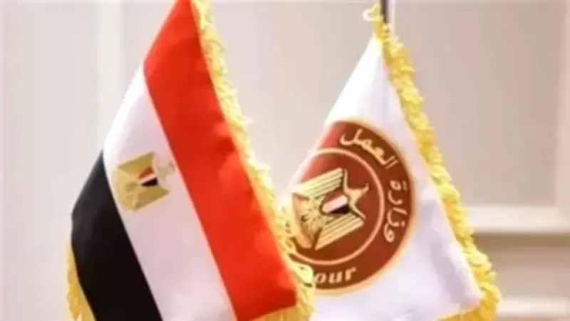 فرص عمل جديدة في العين السخنة برواتب تصل لـ8300 جنيه ضمن 35 وظيفة