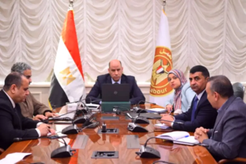 وزير العمل يوجه بمتابعة دقيقة لأحوال المصريين في الدول التي تشهد توترات