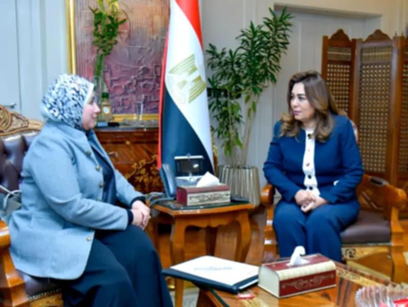 منال عوض تعلن عن رفع كفاءة البنية الإدارية والفنية كأولوية رئيسية في مصر