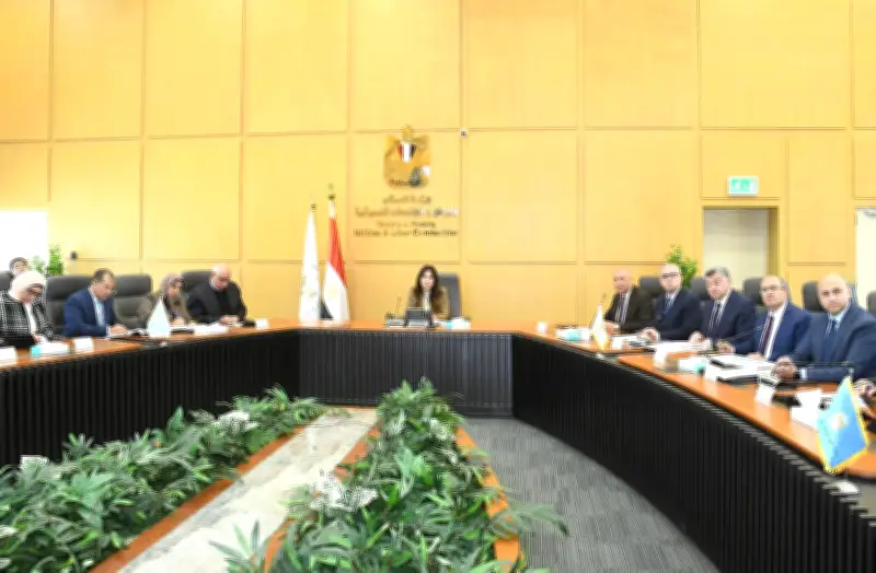 وزيرة الإسكان توجّه بتنفيذ مشروعات المياه والصرف في حياة كريمة وفق الجداول الزمنية
