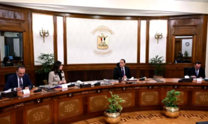 وزيرة الثقافة تؤكد على حماية الهوية والاحتفاء بالمبدعين في مختلف المجالات