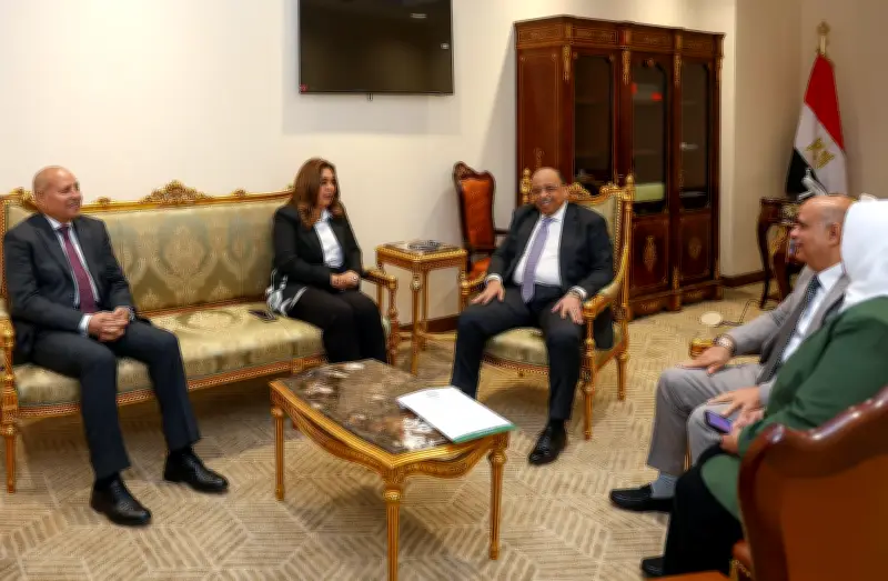 منال عوض: ننسق مع نواب الإدارة المحلية لتحسين جودة حياة المواطنين بالمحافظات