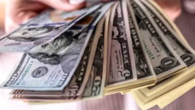 تراجع مفاجئ لسعر الدولار أمام الجنيه في البنوك المصرية والمركزي