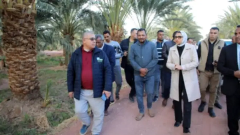محافظ الوادي الجديد تتفقد مشروعًا زراعيًا حيوانيًا ضخمًا يعتمد على الطاقة الشمسية