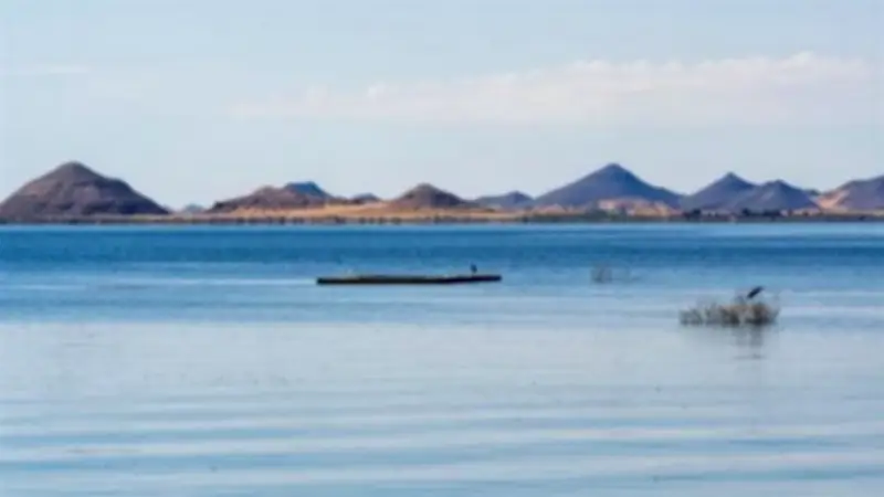 الشهر العقاري يمنع توثيق تصرفات أراضي بحيرة ناصر دون موافقة مسبقة من مجلس الوزراء