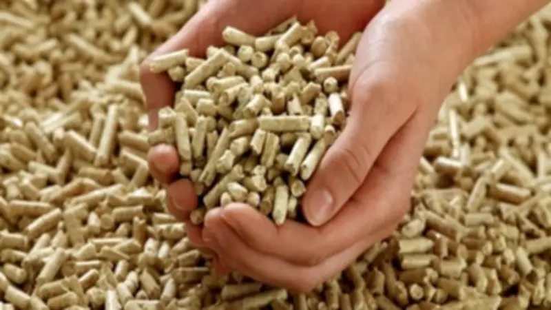 أبرز تطورات الاقتصاد: تبكير مرتبات مارس وتراجع الذهب وارتفاع الأعلاف