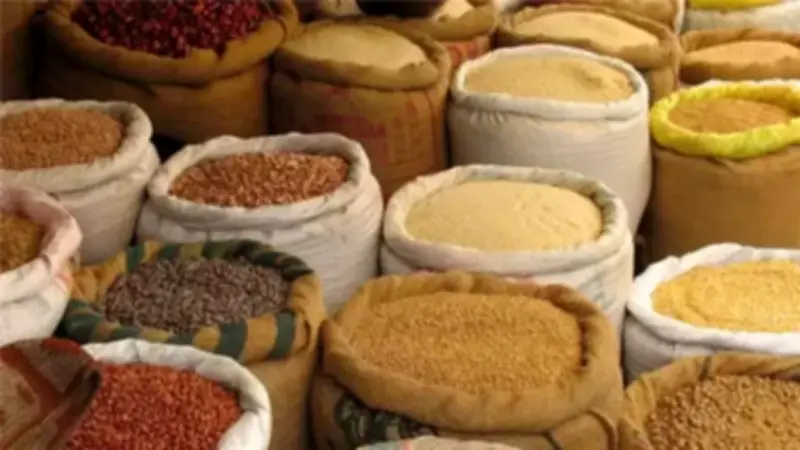 أزمة الأعلاف تهدد صناعة الدواجن في مصر.. مطالب عاجلة بالتدخل الحكومي