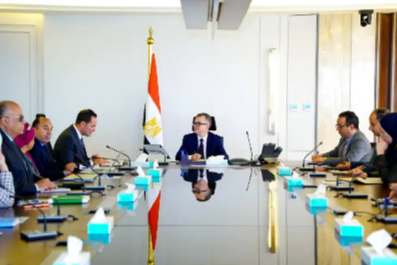 وزير التخطيط ورئيس مركز المعلومات يبحثان سبل دعم اتخاذ القرار وتعزيز التعاون المشترك