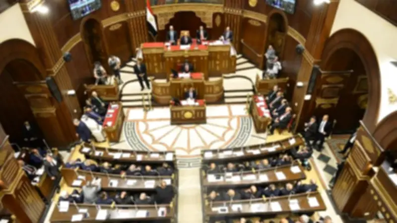 برلماني يؤكد ضرورة حزم الحكومة ضد الاحتكار لحماية المواطن واستقرار الأسواق