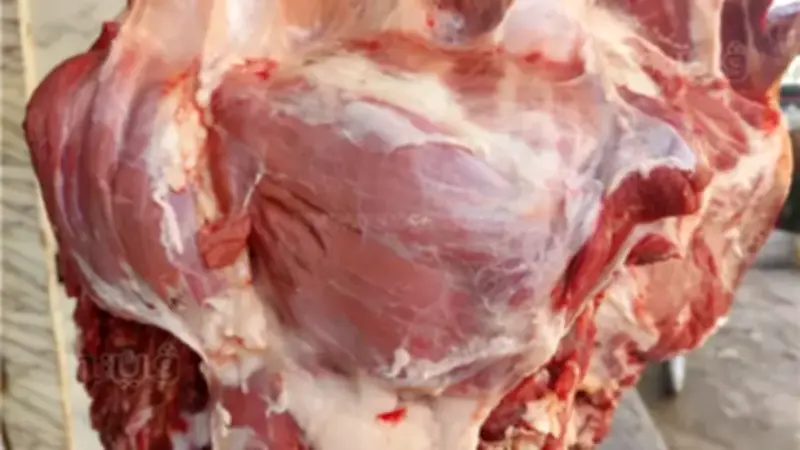 ارتفاع أسعار اللحوم في الأسواق اليوم باستثناء الكندوز الكبير