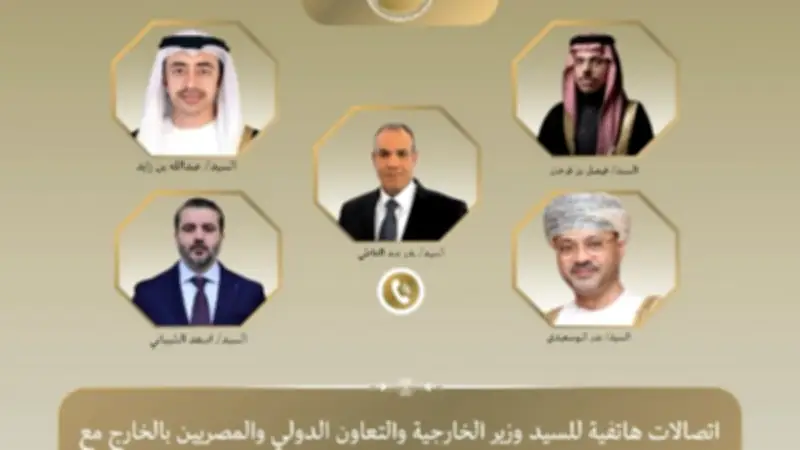 وزير الخارجية المصري يؤكد رفض أي ذرائع للمساس بسيادة الدول العربية