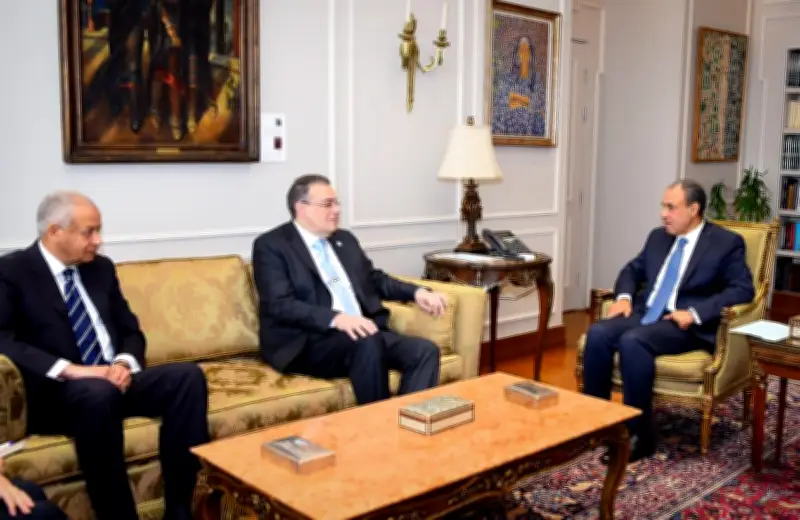 وزارة الخارجية تبحث مع التنظيم والإدارة تعزيز كفاءة الكوادر الإدارية