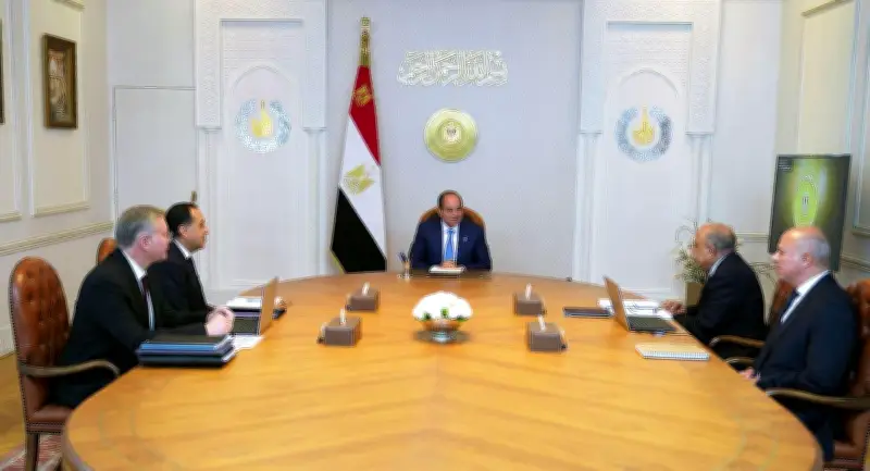 الرئيس السيسي يبحث مع مسؤولين تأمين إمدادات الغاز والكهرباء للصيف