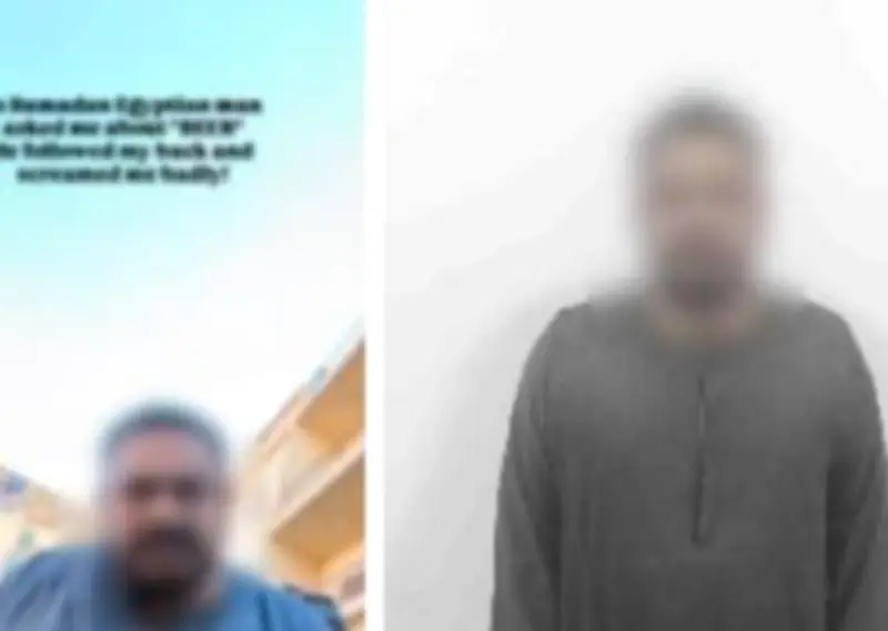 الأمن يكشف ملابسات التحرش بسائحة في الأقصر والقبض على الجاني