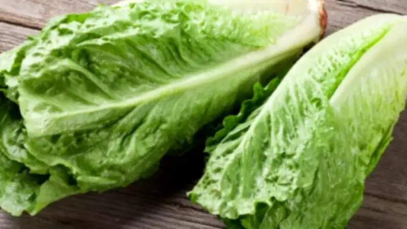 أضف الخس إلى سحورك في رمضان واكتشف فوائده الصحية المذهلة للجسم