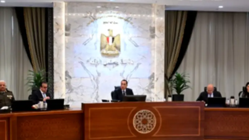مجلس الوزراء يوافق على مسح جوي شامل لثروات مصر المعدنية ومد خدمة أطباء