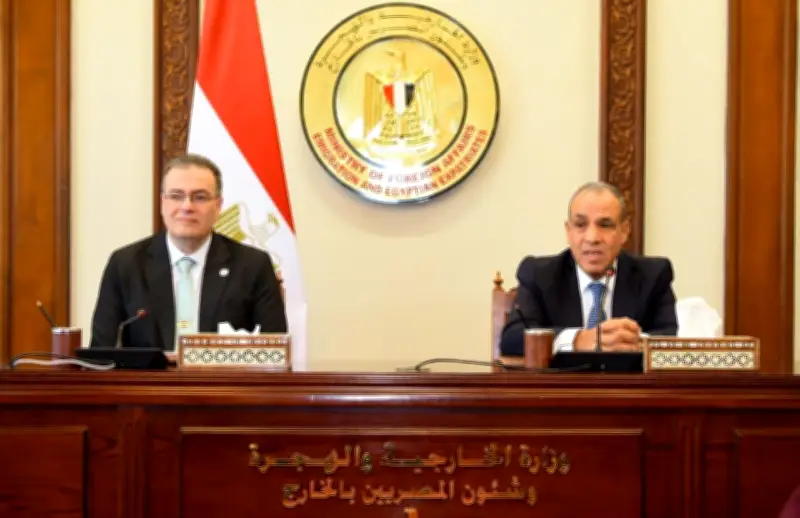 وزير الخارجية المصري يؤكد على جذب الاستثمارات وتوسيع أسواق الصادرات