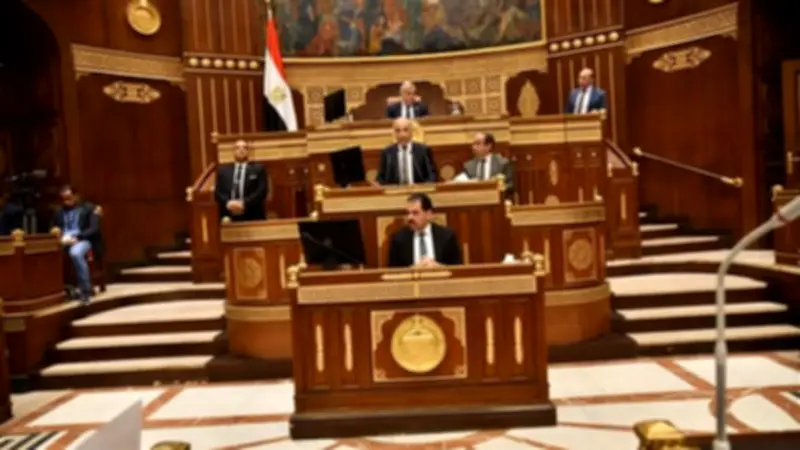 مجلس الشيوخ يناقش تعديلات قانون المستشفيات الجامعية لتعزيز التعليم والخدمات الصحية