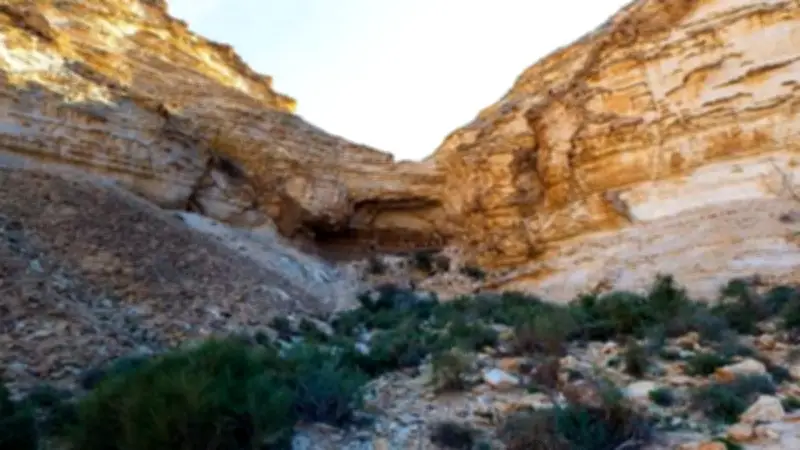 سينما على خريطة الفن العالمي: اكتشاف نقوش تعود للعصر الجليدي في مصر