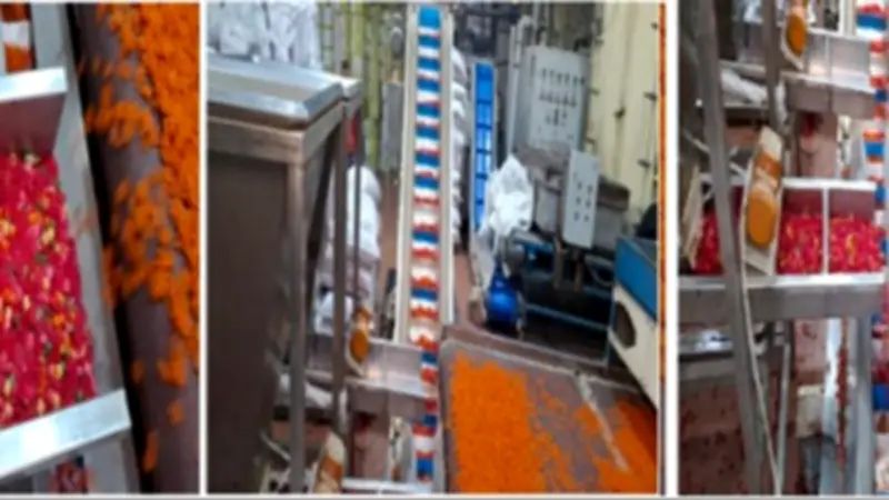 ضبط مصنع غير مرخص لتصنيع مقرمشات بالغش التجاري في أكتوبر