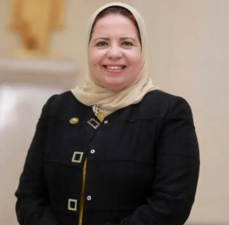 الرئيس السيسي يؤكد على ضرورة الاستعداد الوطني لمواجهة التحديات المستقبلية