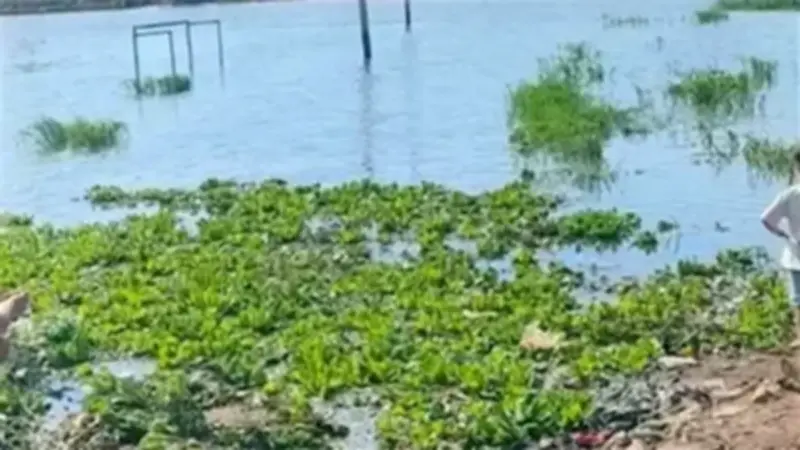 مأساة مزدوجة في الفرافرة: غرق عامل واختناق شابين يهزان الوادي الجديد