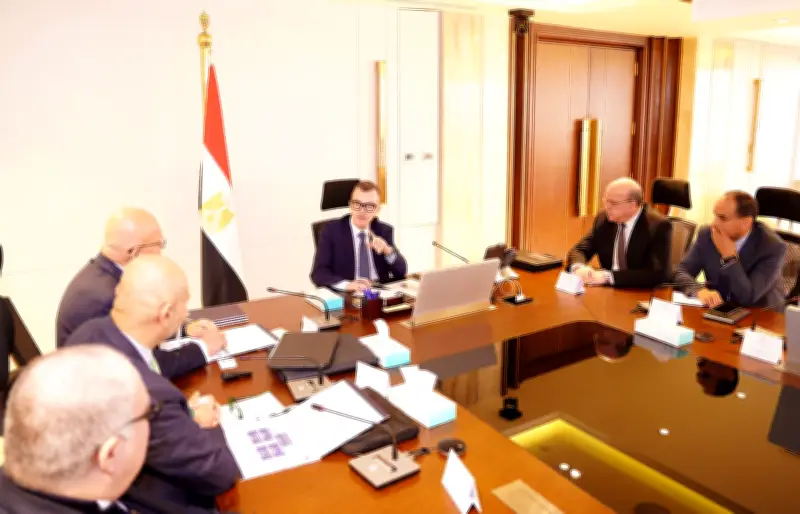 وزير التخطيط يوجه المحافظات لدعم الشركات الناشئة وريادة الأعمال في مصر
